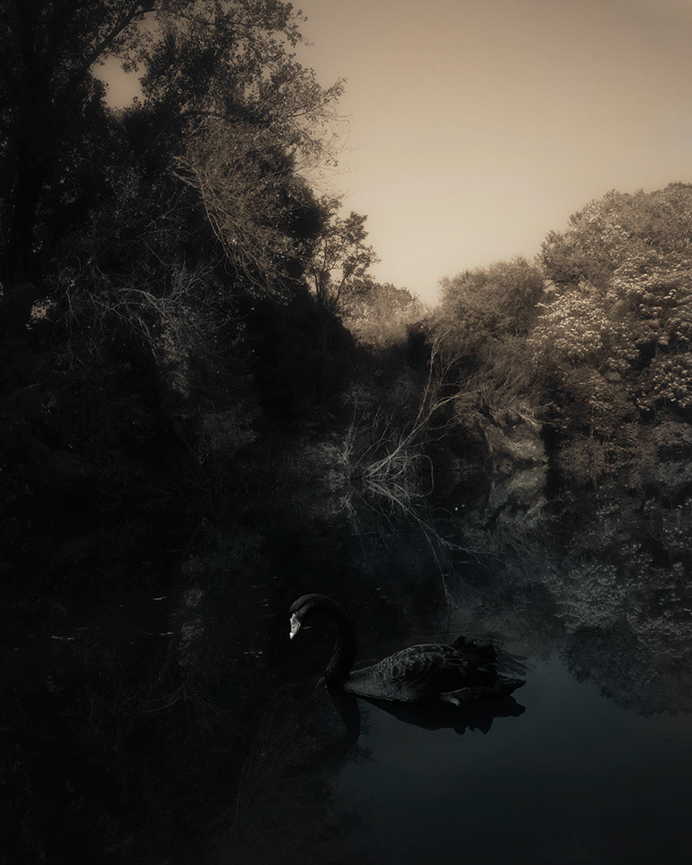 BIOPHILIA V — photograph 02
