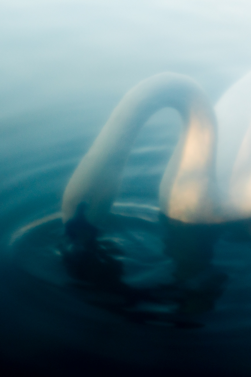 BIOPHILIA V — photograph 05