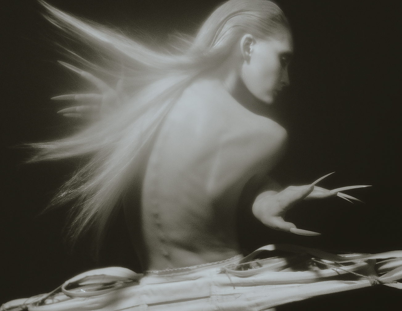 CHIMERA — photograph 02