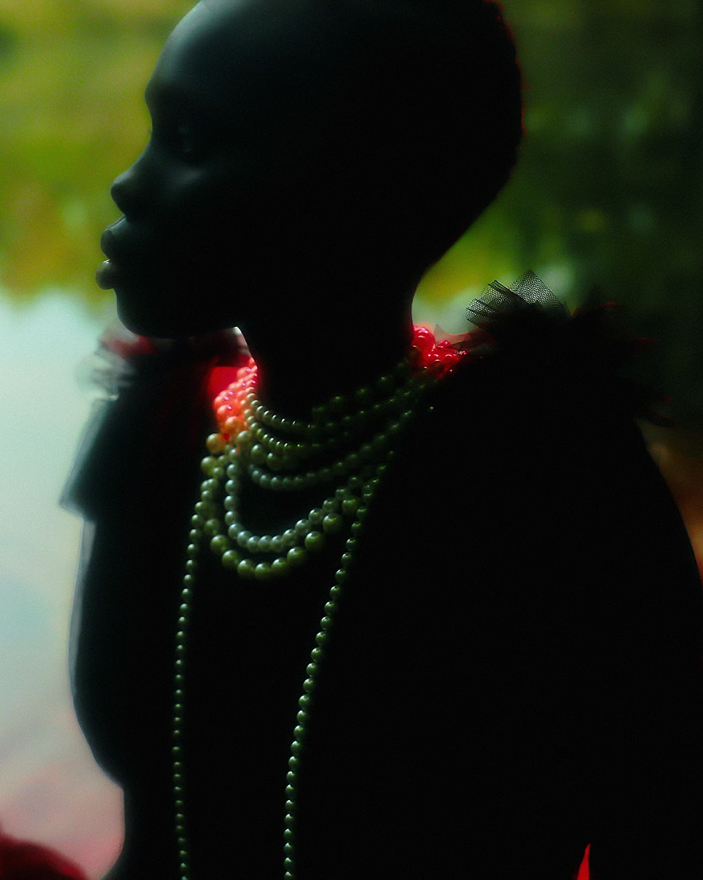 ECHOES OF BIOPHILIA — photograph 01