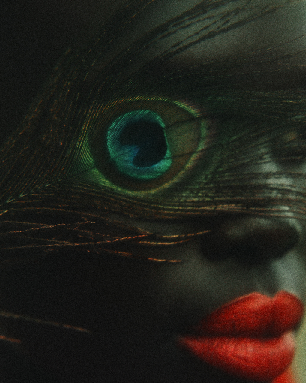 ECHOES OF BIOPHILIA — photograph 02