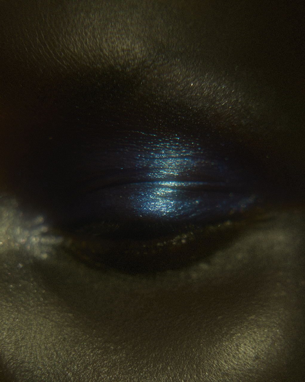ECHOES OF BIOPHILIA — photograph 03