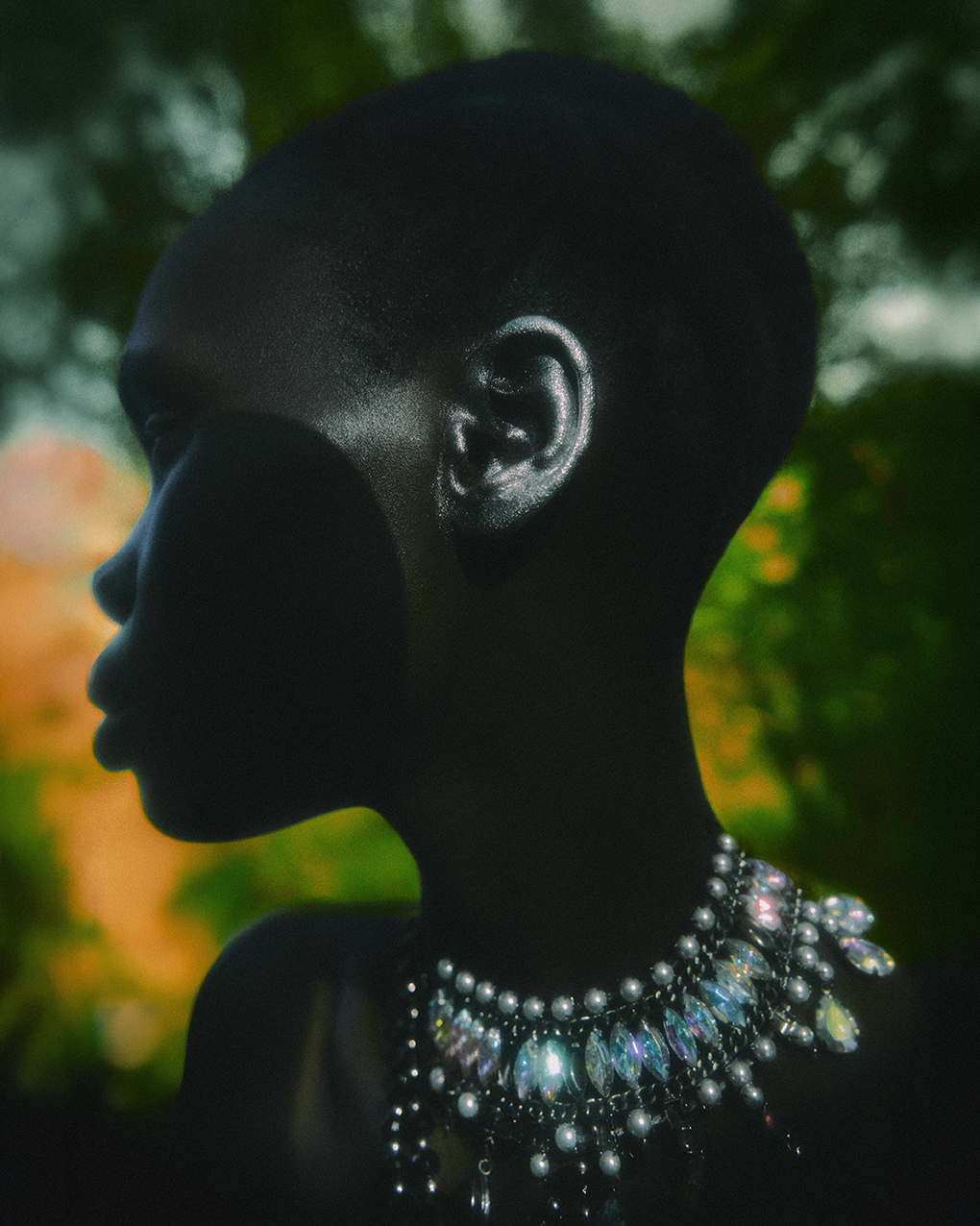 ECHOES OF BIOPHILIA — photograph 04