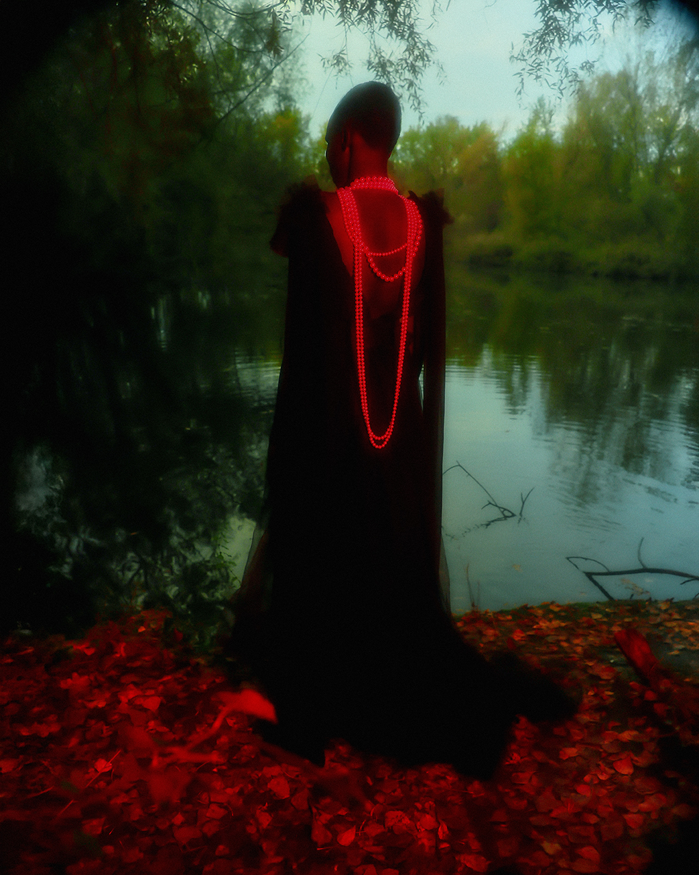 ECHOES OF BIOPHILIA — photograph 05