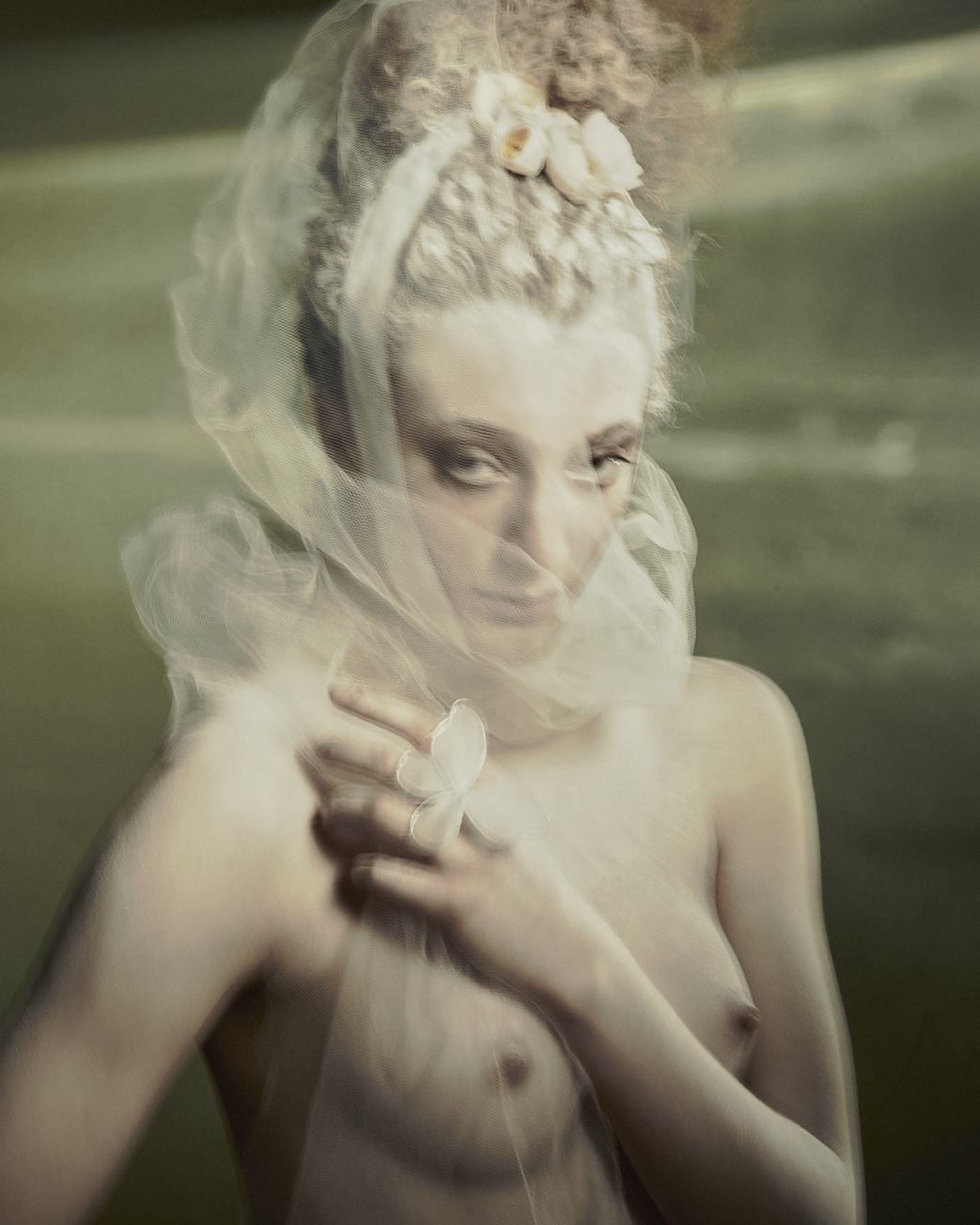 ELENA — photograph 02