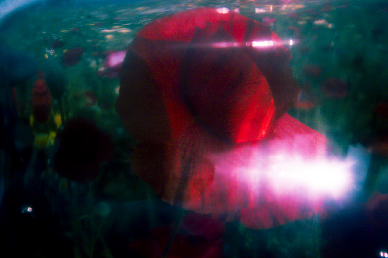HYPER — photograph 05