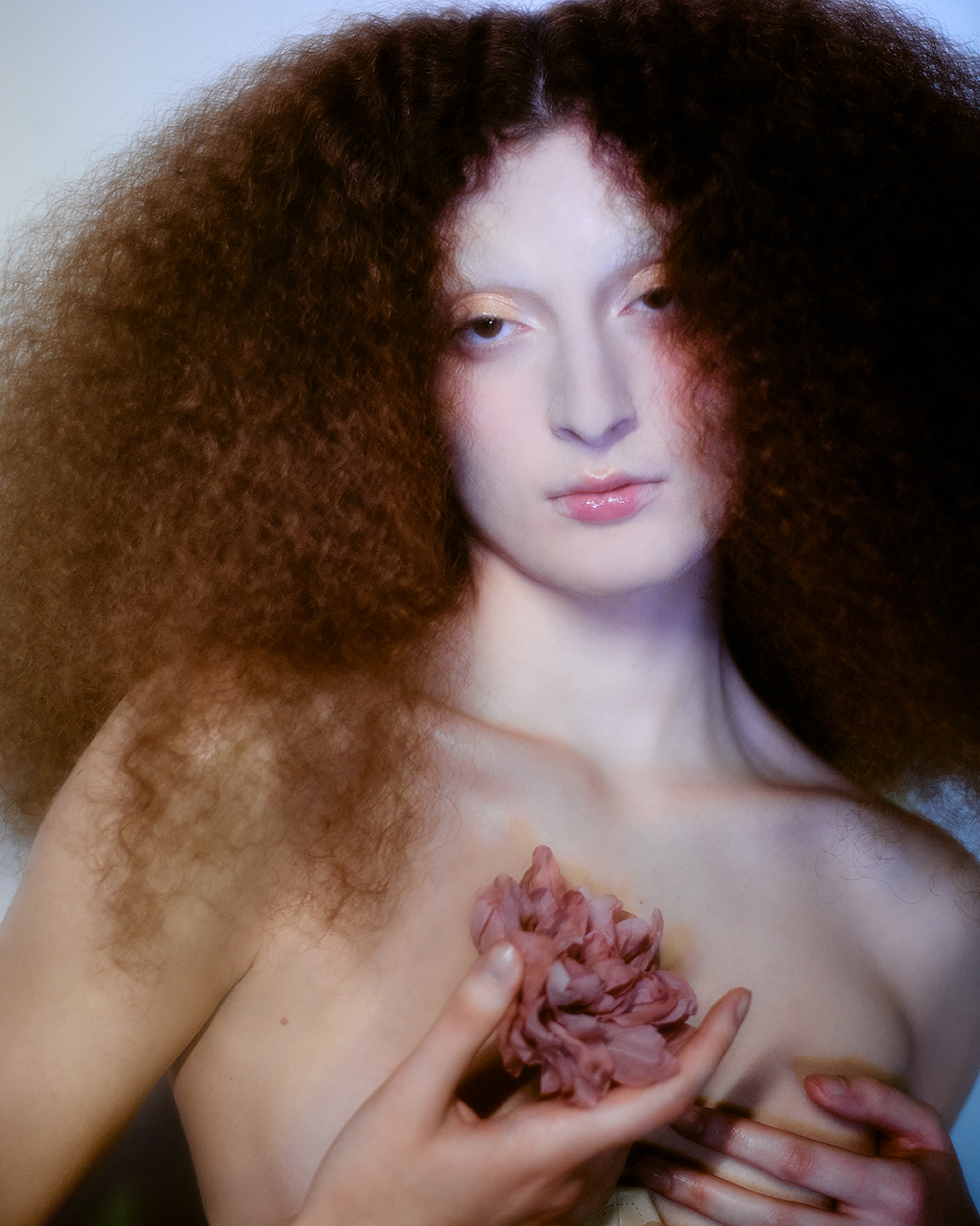 LES DEMOISELLE — photograph 03