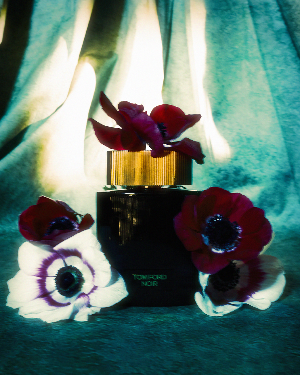 STILL — photograph 05