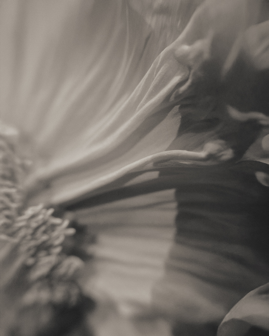 THE MEMORY OF THINGS — photograph 04